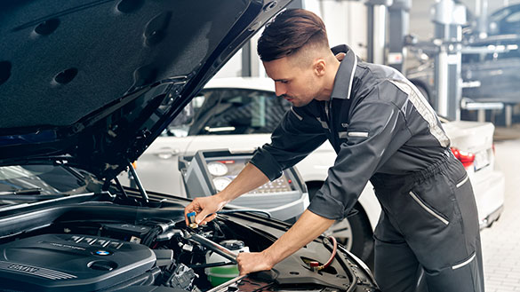 BMW Service 5+.